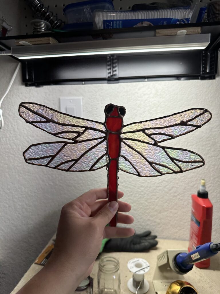 Red body and iridized wings make up this dragonfly.