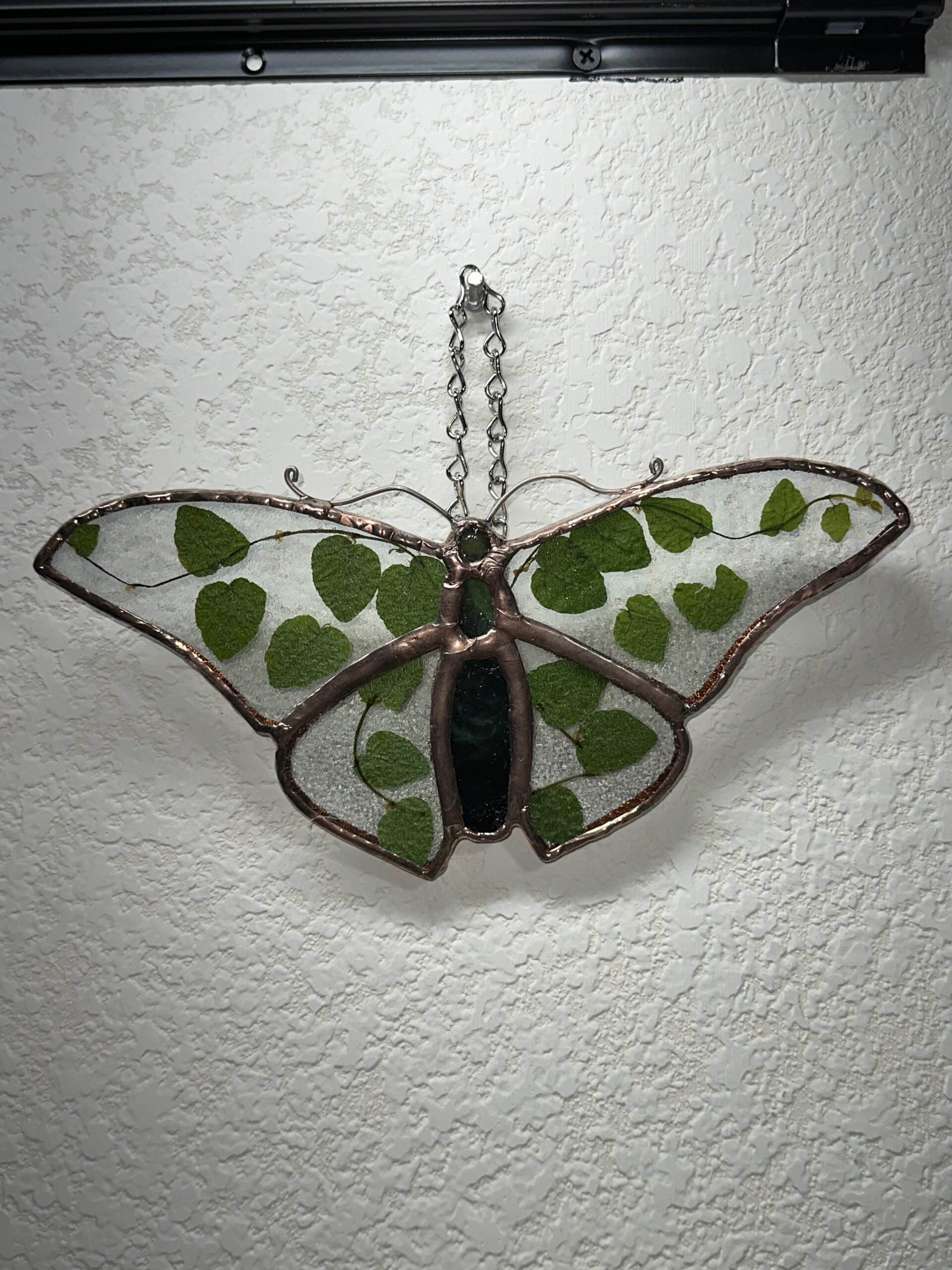 A butterfly made of green body and clear wing glass with creeping fig leaves sandwiched in between two panes of glass for the wings.